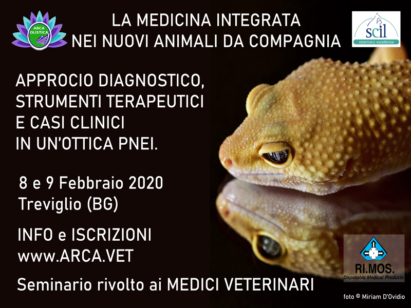 locandina seminario medicina integrata feb 2020